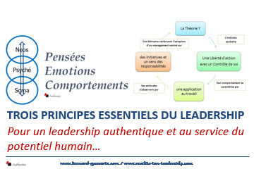 Couverture article sur 3 principes du leadership