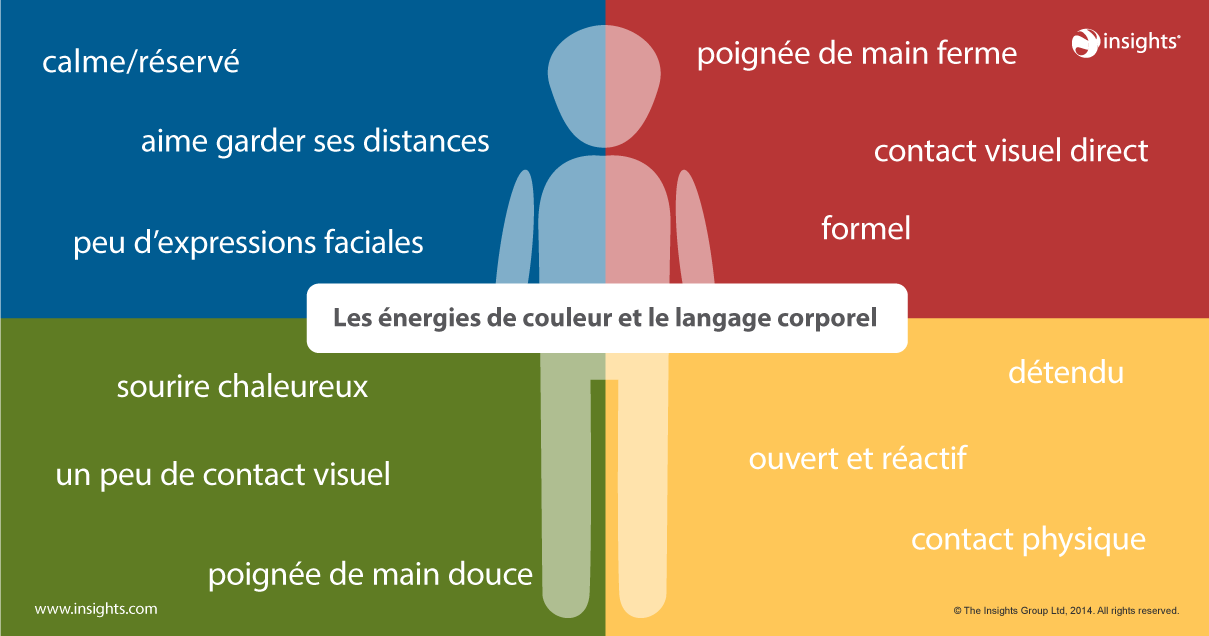 Le non verbal des 4 couleurs Insights Discovery